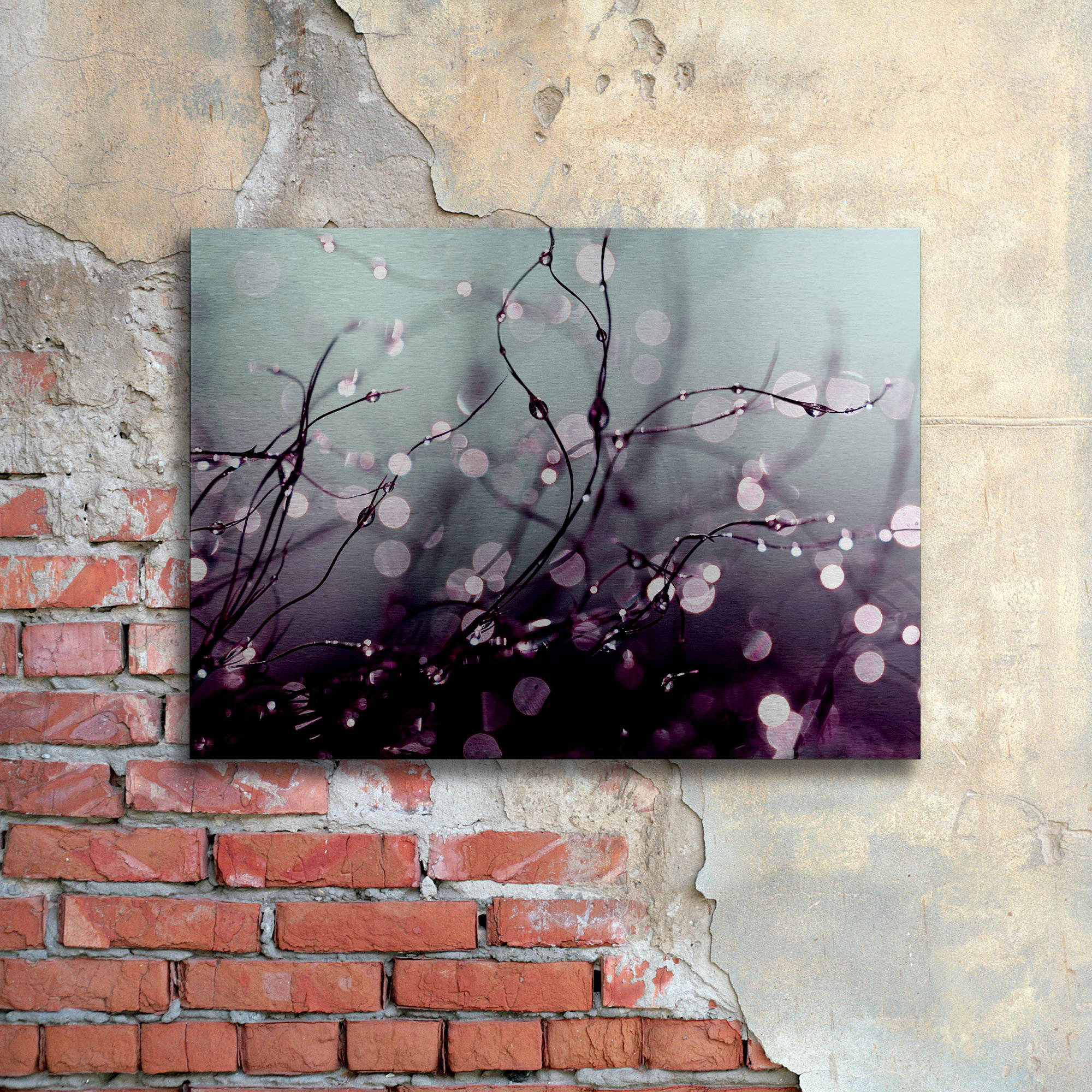 Trademark Fine Art "Over the Rainbow" Brushed Aluminum Wall Art Art by Beata Czyzowska Young 16" x 22"