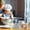 G, variant on Dvkptbk Baking Paper Cup Large Flanged Cake Cups Multicolor Baking Desserts High Temperature Cake Cups Home & Garden