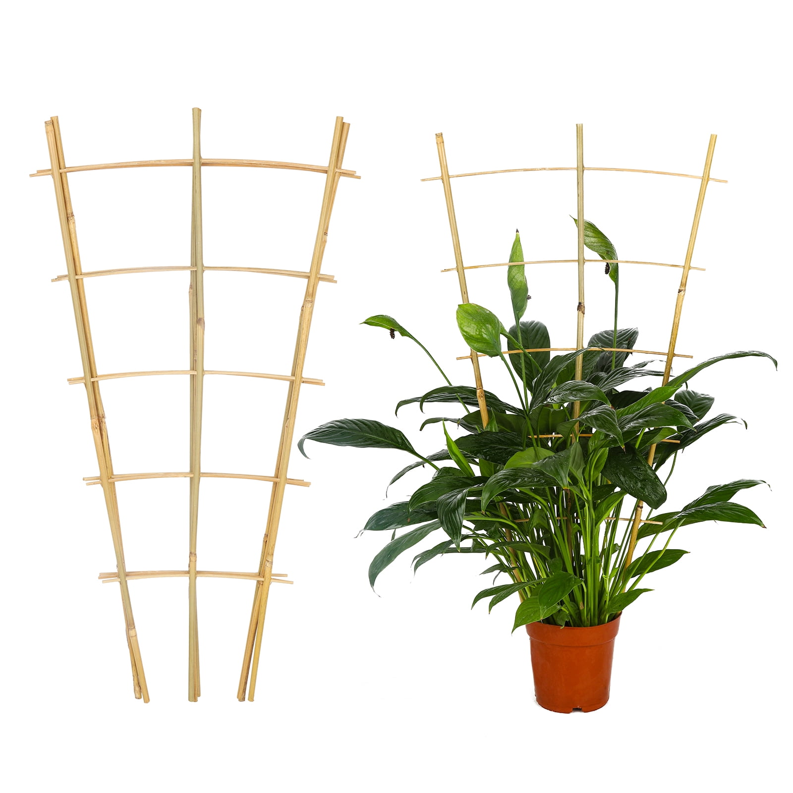 2ft Fan-Shaped Bamboo Trellis-Indoor Plant Support for Climbing Plants, Vegetables, and Potted Plants 3pcs