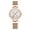 White rose, variant on Unique Womens Watches Fashion Analog Party Dress Watch Waterproof Quartz Watch with Stainless Steel Mesh Band
