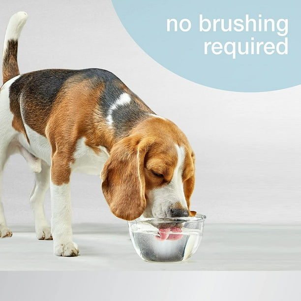 Advanced oral care for dogs 2025