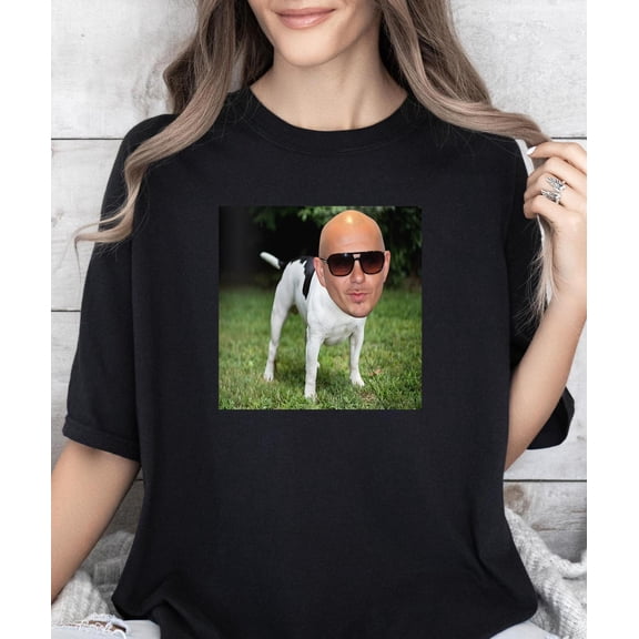 Pitbull Mr Worldwide###ANANDHIS ART LLC