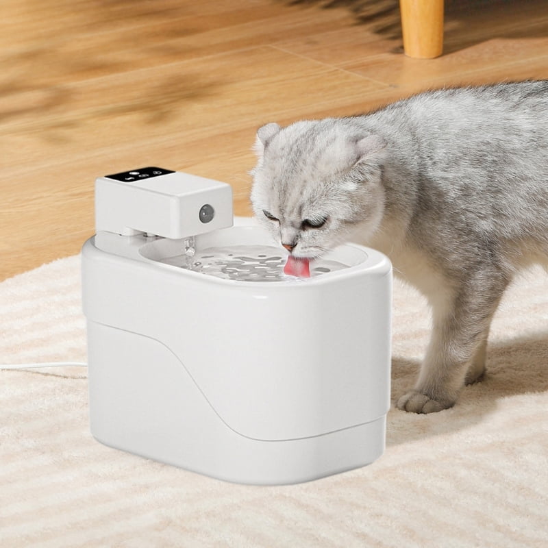 AOOOWER Cats Water Dispenser Mute Working Automatic Pet Fountain Dogs Waterer for Indoor Pet Easy to Clean Healthy Drinking
