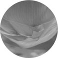thumbnail image 1 of Ahgly Tapis Rond Lavable en Machine Intérieur Transitionnel Gris Cendré, 8 Pieds Rond, 1 of 7