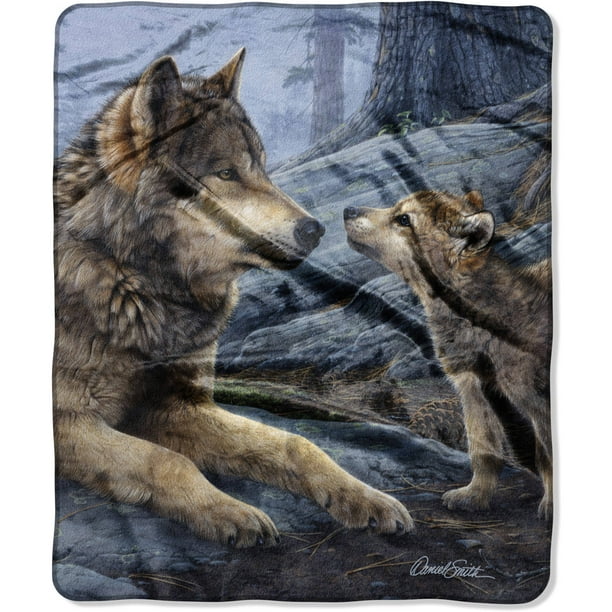 LAFC The Northwest Company Gold/Black 60" x 80" Raschel ...