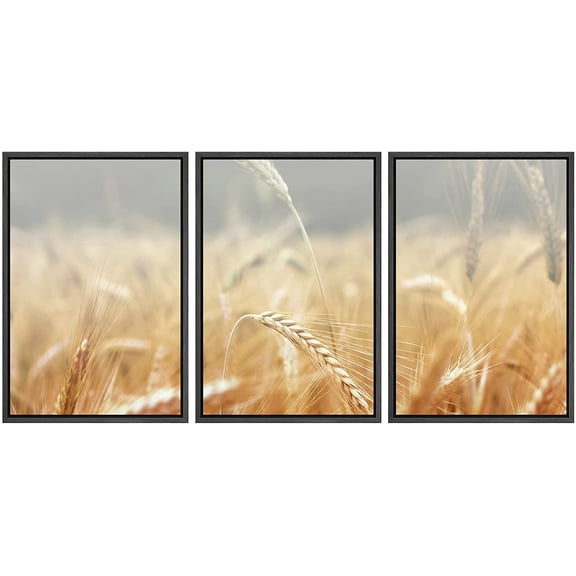 wall26 Framed Canvas Print Wall Art Set Golden Film Grain Wheat Field Nature Wilderness Photography Modern Art Rustic Scenic Multicolor Ultra for Living Room, Bedroom, Office - 16"x24"x3 BL