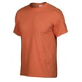 thumbnail image 3 of Gildan  Adult Heavy Cotton T-Shirt, 3 of 3
