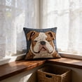thumbnail image 6 of Tuvgenk Indoors Throw Pillow Covers Embroidered Polyester 18x18 In Pillowcases Multicolor Furry Dog for Patio, 6 of 6