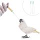 thumbnail image 5 of BESTYASH 3Ud Accesorios Para Alimentación De Loros Con Manguera Y Resistente, 5 of 8