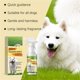 thumbnail image 4 of Spray de entrenamiento para ir al baño para perros Spray de entrenamiento para ir al baño para cachorros Corrige el mal comportamiento de defecación del perro y te ayuda a entrenar a tu perro para ir, 4 of 9