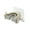 Beige, variant on LUDLZ Heavy Duty Wall Mounted Mop Broom Holder Stainless Steel Organizer, Assembled Product Width
