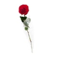 thumbnail image 1 of Bouquet 1 rosa, 1 of 4