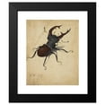 thumbnail image 2 of Albrecht Dürer 20x24 Black Modern Framed Museum Art Print Titled - Stag Beetle (1505), 2 of 5