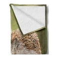 thumbnail image 2 of Hedgehog Soft Flannel Fleece Blanket, Animal Photography in Eastern Europe Slug with Hedgehog Scenes from Nature Print, Cozy Plush for Indoor and Outdoor Use, 70" x 90", Green Brown, by Ambesonne, 2 of 5