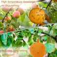 thumbnail image 4 of ACDANC 6 Sets Indoor Flying Insect Trap Balls, Yellow Sticky Bug Balls House Plants Kitchen Drains Yards Gardens Indoor Outdoor, Fruit Fly Killer and Mosquito Catcher, 4 of 7