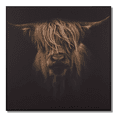 thumbnail image 1 of Bouclair Toile Imprimée Encadrée Orange Écossaise Highland Cattle 35 X 35 Po (87,5 X 87,5 cm), 1 of 3