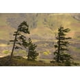 thumbnail image 2 of Paulson, Don 18x13 Gold Ornate Wood Framed with Double Matting Museum Art Print Titled - OR, Columbia Gorge Overlook of hills and valley, 2 of 4