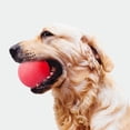 thumbnail image 2 of Billuyoard Sólido TPR Pet Balls Bouncy Bite-Resistant Pet Training Masticar Playing Ball Juguete interactivo Type4 NO4 Billuyoard JJ9500-01, 2 of 4