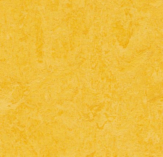 FORBO Marmoleum Click CinchLoc Lemon Zest 12'X12 Square Tiles 7 Square Tiles/6.78 sf