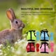 thumbnail image 1 of unbranded 4Ud Arnés Transpirable Para Mascotas Pequeñas Con Perfecto Para Paseos Y Juegos, 1 of 6