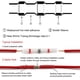 thumbnail image 3 of 50 terminales eléctricos para soldar, tubos termorretráctiles, terminales de cobre eléctricos, conector de cable de alambre, rojo, 3 of 5