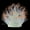B, variant on Aquariums Sinkable Decorations Realistic SeaAnemone Glowing Coralreefs Grass Fishtank Ornament Landscaping Bottom Plant