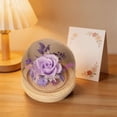 thumbnail image 4 of Preserved Real Flower Glass Dome Eternal Carnation Rose Display For Home Tabletop Decor Gift, 4 of 9