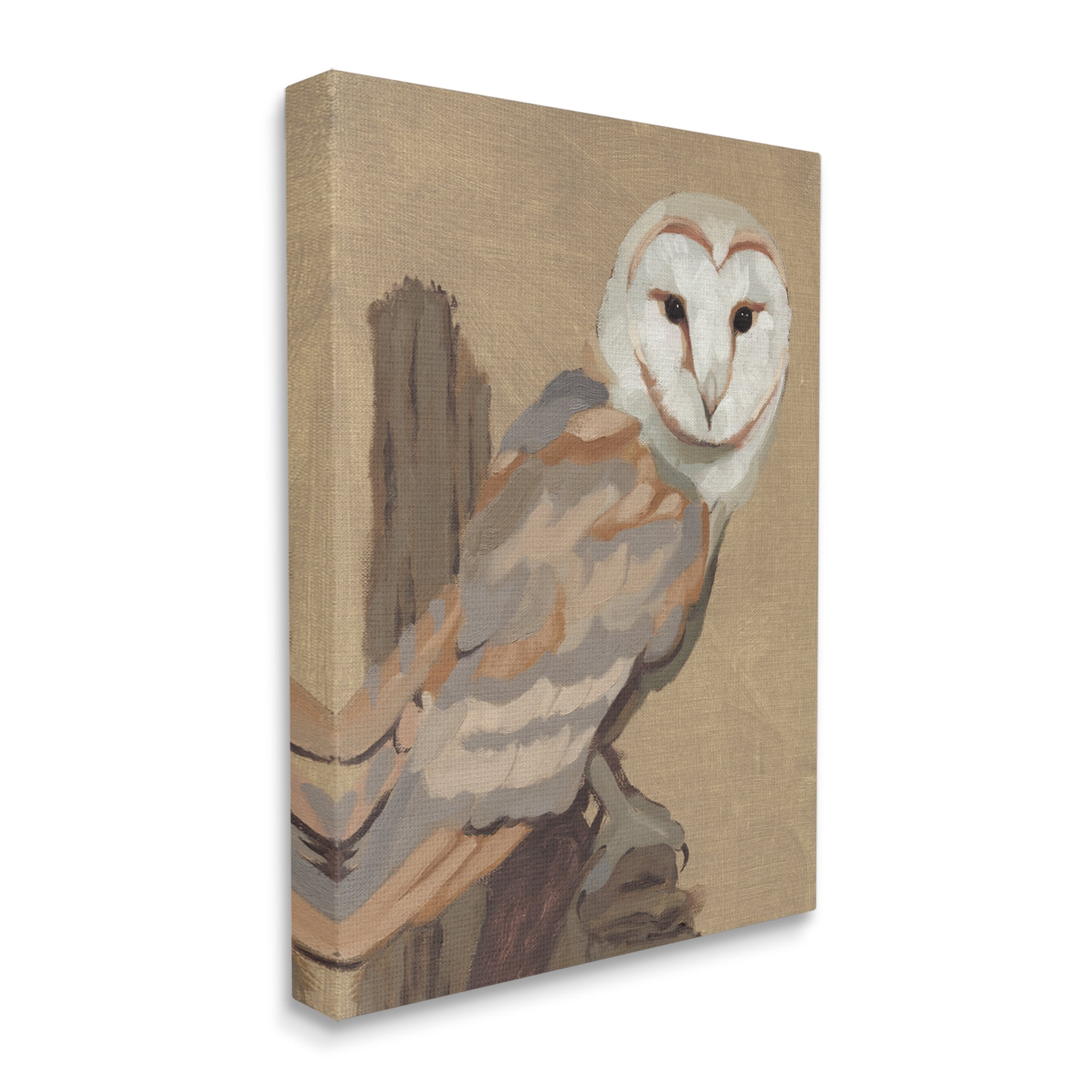 Stupell Industries Barn Owl Bird Perched Gazing Wildlife Animal Painting Painting Gallery Wrapped Canvas Print Wall Art, Design by Jacob Green