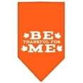 thumbnail image 3 of Thanksgiving Pet and Dog Bandana Screen Printed, "Be Thankful For Me", 3 of 10