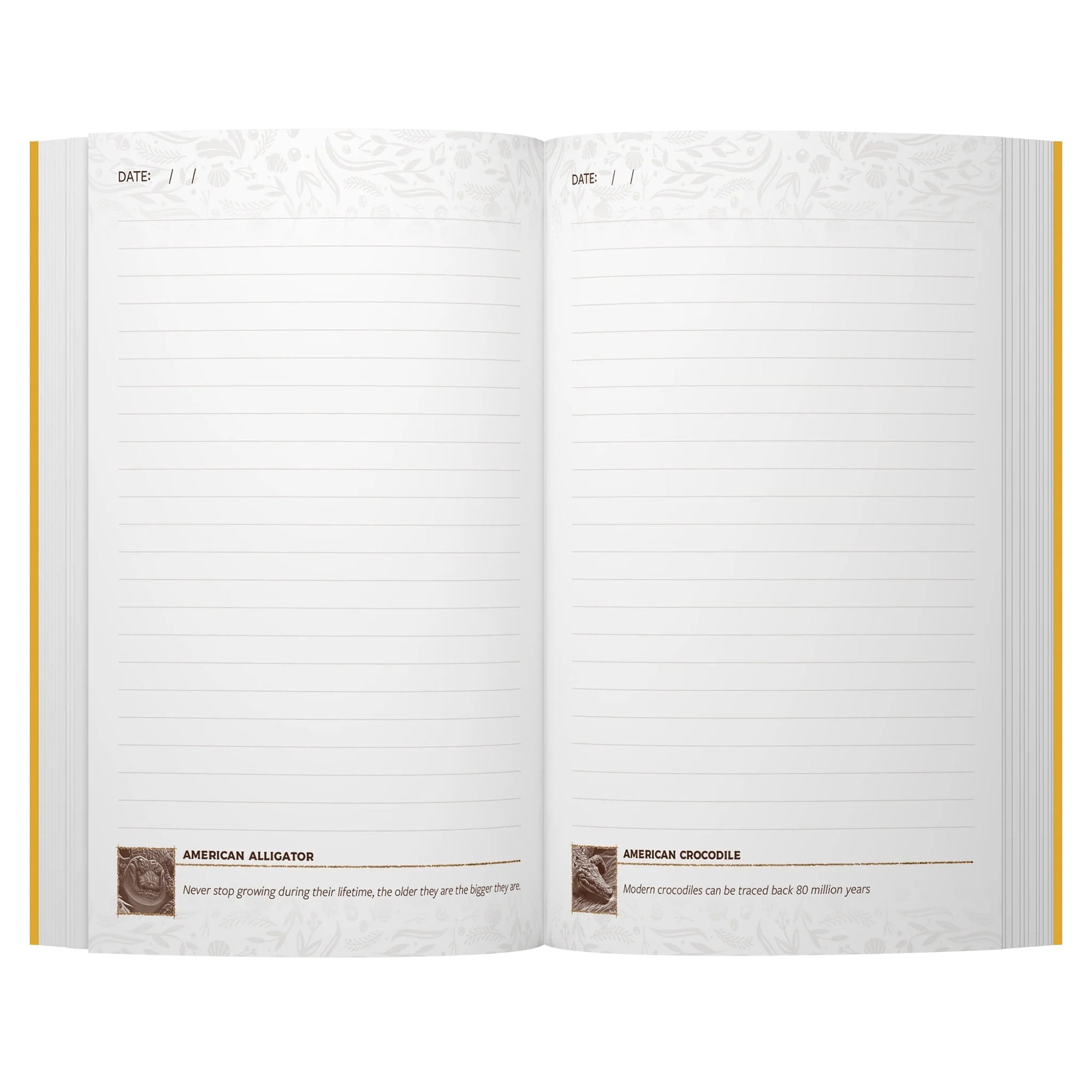 Keystone: North America Premium Field Journal, Board Game Accessory, Vegan Leather
