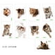 thumbnail image 1 of Un conjunto de adorables vinilos decorativos para perros y gatos de hámster. Vinilos decorativos wa, 1 of 5