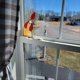 thumbnail image 5 of 3 Uds., Divertido Gallo Que Mira Furtivamente, Decoración de Esquina de Ventana, Adorno de Pollo Acrílico Teñido Hecho A Mano, Atrapasol, Colgante de Ventana de Pared, 5 of 5