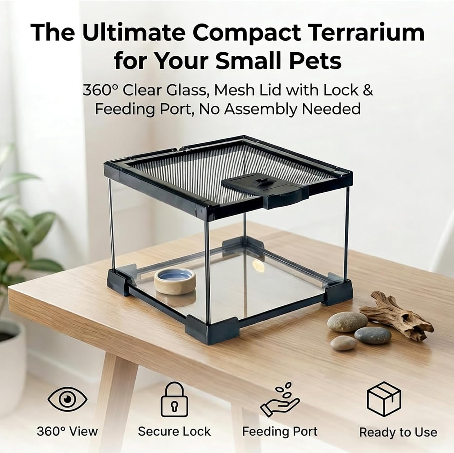VNEKVA Small Glass Terrarium with Lockable Top, Reptile Tank for Geckos, Lizards, Snakes, Turtles & Amphibians