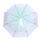 thumbnail image 2 of Paraguas Plegable Paraguas de Lluvia Portátil Mini Automático Abierto Transparente de Moda Paraguas de Princesa Flor de Cerezo(Verde) EOTVIA NO, 2 of 3
