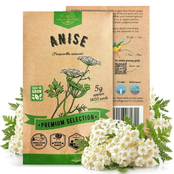 Organo Republic Anise Seeds 5 g – 1,800 Non‑GMO Heirloom Anise Seeds – Indoor and Outdoor Herb Seed Packet for Home Garden, Culinary & Pollinator Planting