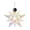 STAR, variant on Holiday Ornament Snowflake Friends Acrylic One Of A Kind Nd6010339 Star