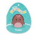 thumbnail image 5 of Squishmallows 14" Plush - Tudor the Maroon Leatherback Turtle, 5 of 5