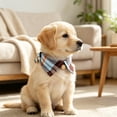 thumbnail image 5 of Gardjoe British Plaid Bow Tie Cat Collar with Gentleman Tuxedo Design and Jingle Bell for Small Cats Formal Dress Up Photo Prop, 5 of 5