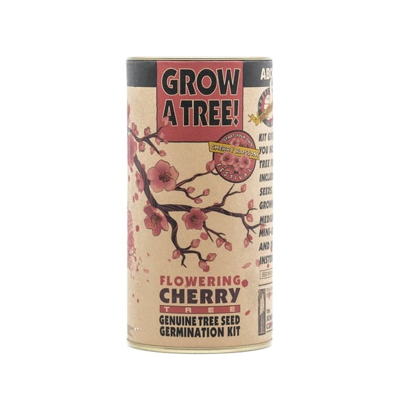 Flowering Cherry Blossom - Seed Grow Kit by Jonsteen Company