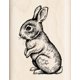 thumbnail image 1 of Inkadinkado Inkadinkado I96656, 1 of 2