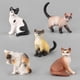 thumbnail image 3 of Figura de acción de gatos para niños, modelo de simulación de gatito, adornos, animales realistas, muñeca, regalos, decoración de mesa, 3 of 4