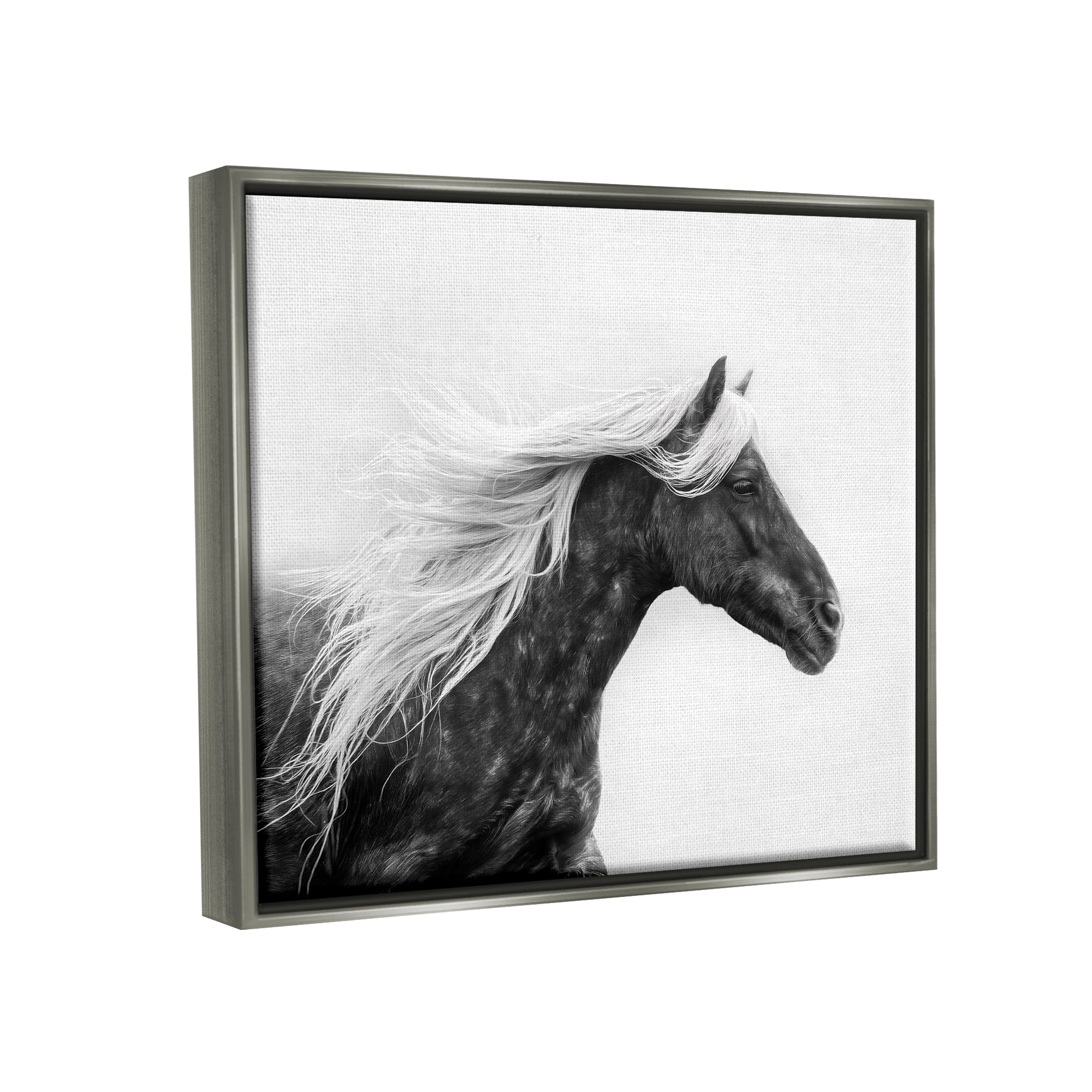 Stupell Industries Horse with White Mane Animals & Insects Photography Gray Floater Framed Canvas Art Print Wall Art, 31 x 25