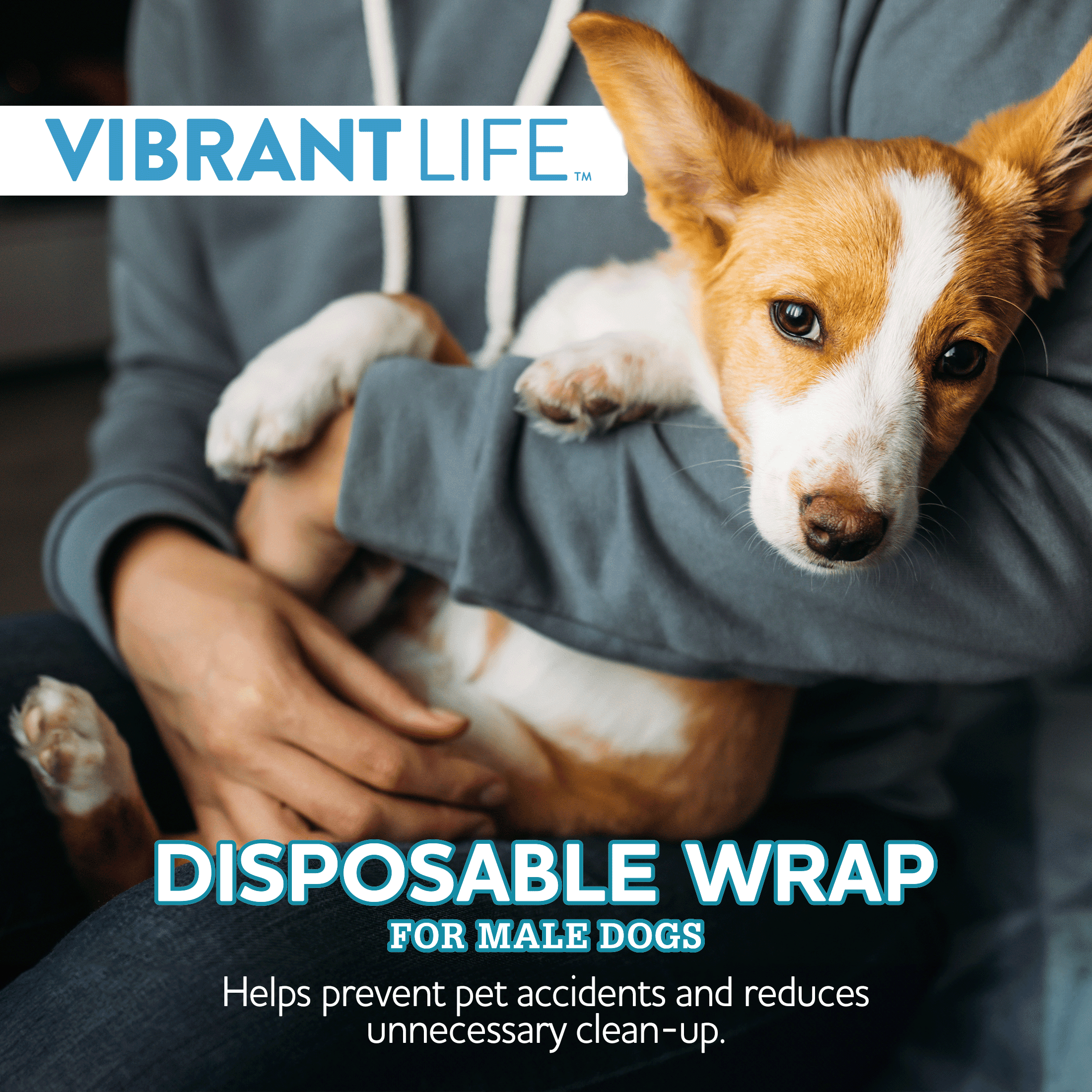 Vibrant Life Disposable Male Wraps for Dogs - Med 12Ct