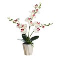 thumbnail image 1 of Flor falsa de tres puntas phalaenopsis bonsái de escritorio pequeña planta decorativa decoración flor artificial planta verde artificial, 1 of 5
