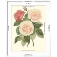 thumbnail image 5 of Art.com Vintage Roses II Art Print by Vision Studio, White Frame Wall Art, 23" x 29", 5 of 5