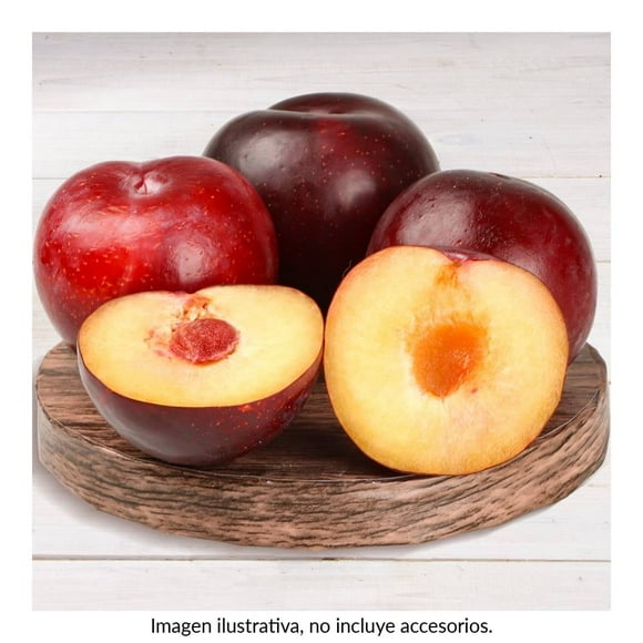 Ciruela Importada por kilo