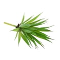 thumbnail image 3 of Artificial Plástico Planta Follaje home and garden Paisaje Decoración, 3 of 6