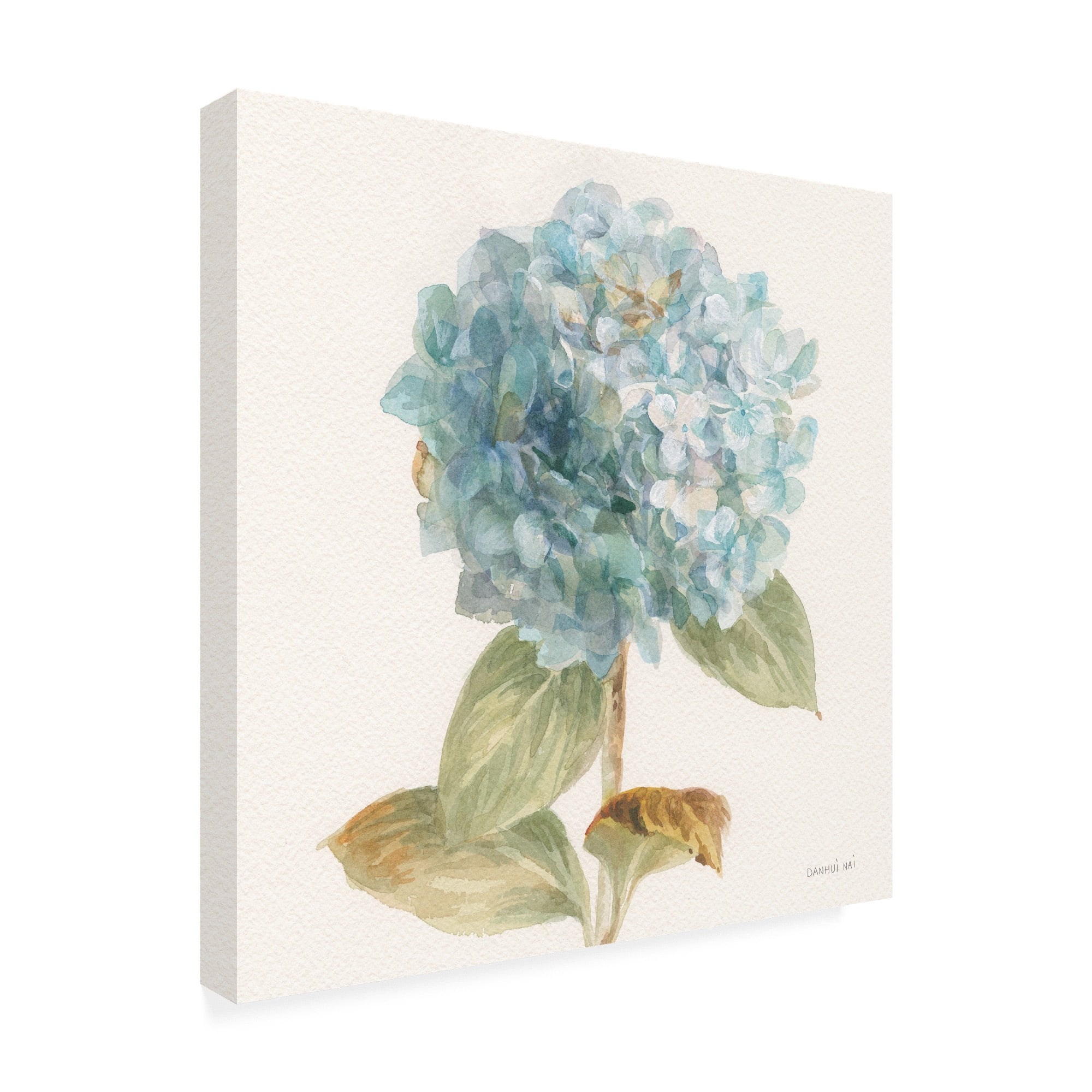 Trademark Fine Art 'Garden Hydrangea' Canvas Art by Danhui Nai