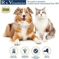 thumbnail image 6 of Rx Vitamins Amino B Plex for Pets - B Vitamin Complex Plus Amino Acids for Dogs & Cats - Vitamin Supplements for Dogs' & Cats' Total Body Support - 4 oz, 6 of 6