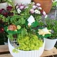 thumbnail image 1 of Décor de Jardin Tortue Résine Résistante aux Intempéries Attraction Magnétique Installation Facile Charme Enfantin Mignon pour Pot de Fleurs Balcon Cour Patio Parterre de Fleurs Figurine Décorative de Jardin Extérieur, 1 of 9
